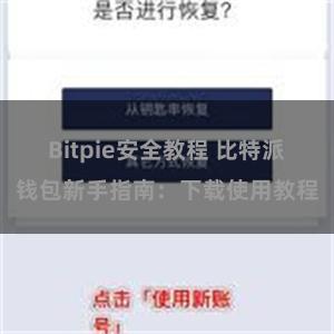 Bitpie安全教程 比特派钱包新手指南：下载使用教程