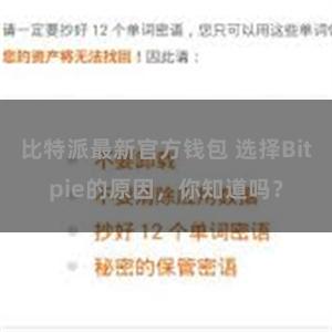 比特派最新官方钱包 选择Bitpie的原因，你知道吗？