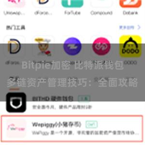 Bitpie加密 比特派钱包多链资产管理技巧：全面攻略