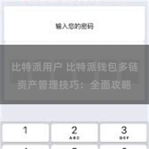 比特派用户 比特派钱包多链资产管理技巧：全面攻略