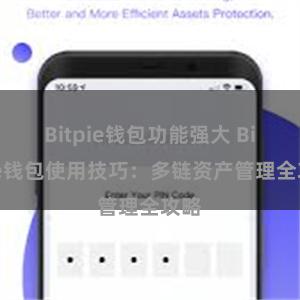 Bitpie钱包功能强大 Bitpie钱包使用技巧：多链资产管理全攻略