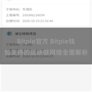 Bitpie官方 Bitpie钱包支持的区块链网络全面解析