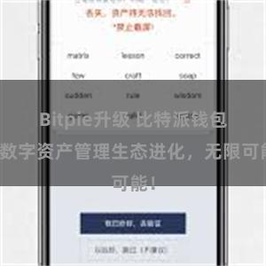 Bitpie升级 比特派钱包：数字资产管理生态进化，无限可能！