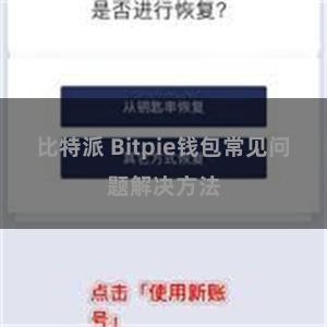 比特派 Bitpie钱包常见问题解决方法