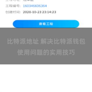 比特派地址 解决比特派钱包使用问题的实用技巧