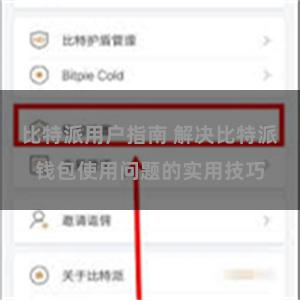 比特派用户指南 解决比特派钱包使用问题的实用技巧