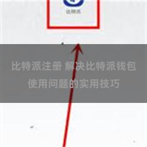 比特派注册 解决比特派钱包使用问题的实用技巧