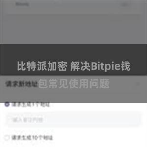 比特派加密 解决Bitpie钱包常见使用问题