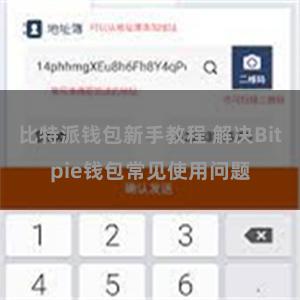 比特派钱包新手教程 解决Bitpie钱包常见使用问题