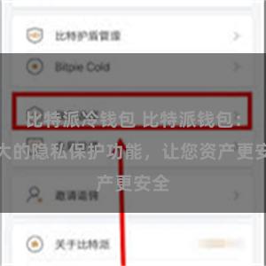 比特派冷钱包 比特派钱包：强大的隐私保护功能，让您资产更安全