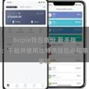 Bitpie钱包备份 新手指南：下载并使用比特派钱包必知事项