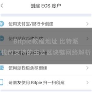 Bitpie教程地址 比特派钱包支持的主要区块链网络解析