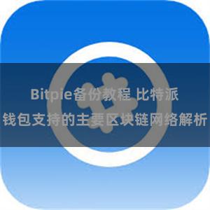 Bitpie备份教程 比特派钱包支持的主要区块链网络解析