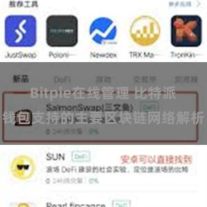 Bitpie在线管理 比特派钱包支持的主要区块链网络解析