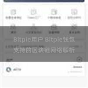 Bitpie用户 Bitpie钱包支持的区块链网络解析