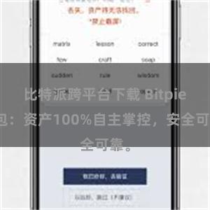 比特派跨平台下载 Bitpie钱包：资产100%自主掌控，安全可靠。