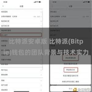 比特派安卓版 比特派(Bitpie)钱包的团队背景与技术实力