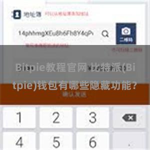 Bitpie教程官网 比特派(Bitpie)钱包有哪些隐藏功能？