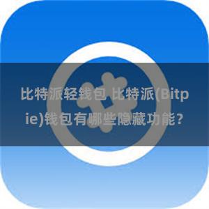 比特派轻钱包 比特派(Bitpie)钱包有哪些隐藏功能？