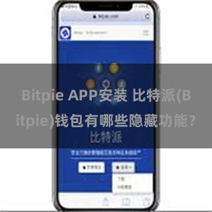 Bitpie APP安装 比特派(Bitpie)钱包有哪些隐藏功能？