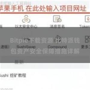 Bitpie下载资源 比特派钱包资产安全保障措施详解