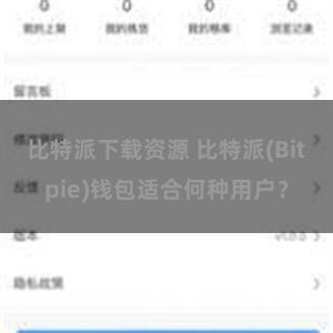 比特派下载资源 比特派(Bitpie)钱包适合何种用户？