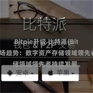 Bitpie升级 比特派(Bitpie)钱包市场趋势：数字资产存储领域领先者持续发展。